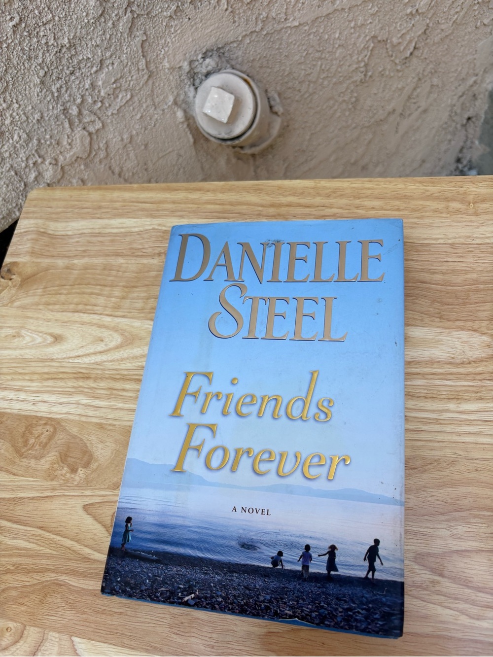 Danielle Steel "Friends Forever" - Blue Paperback Novel